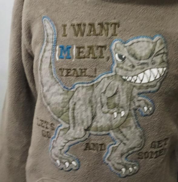 Fleecepullover Gr. 116 von dopodopo (818)